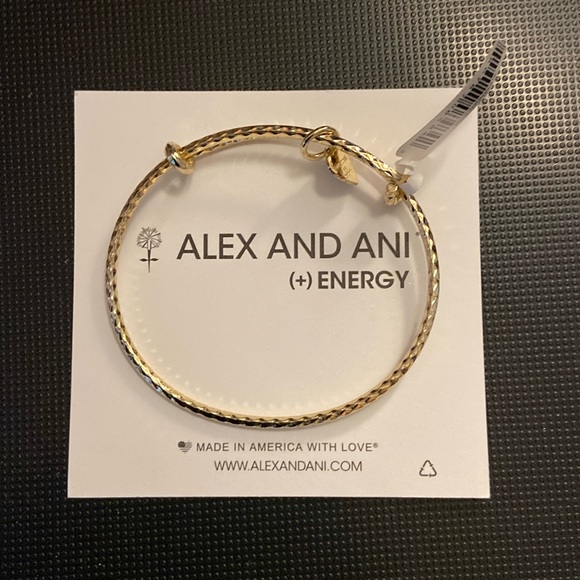 Alex and Ani Jewelry - Alex and Ani (+) Energy bracelet NIB